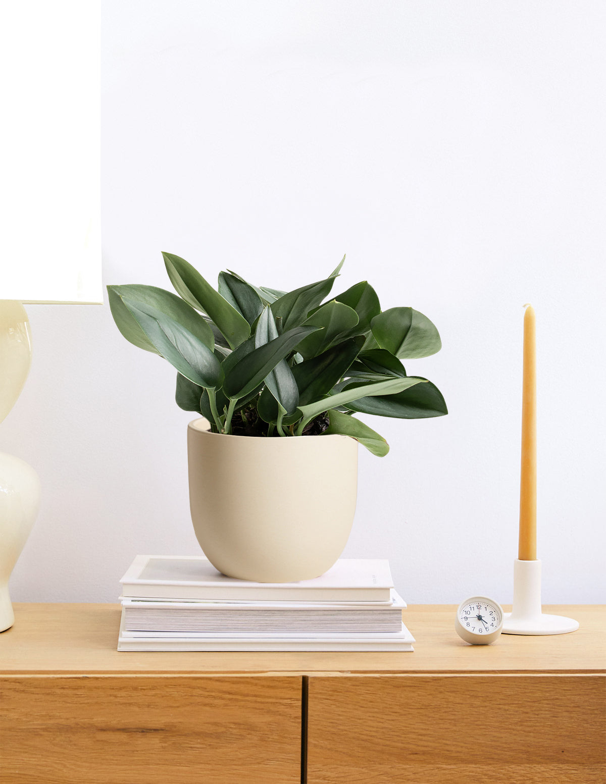 Pothos Sterling Silver