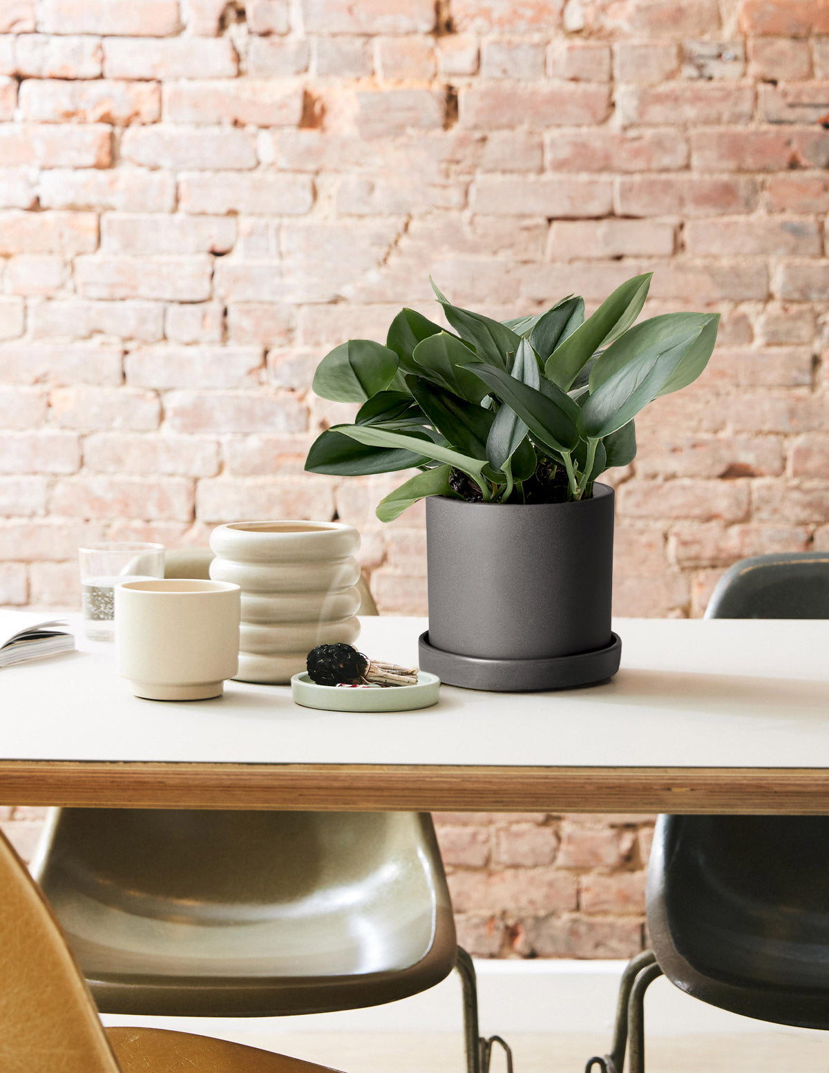 large silver plant pots indoor Pothos Sterling Silver