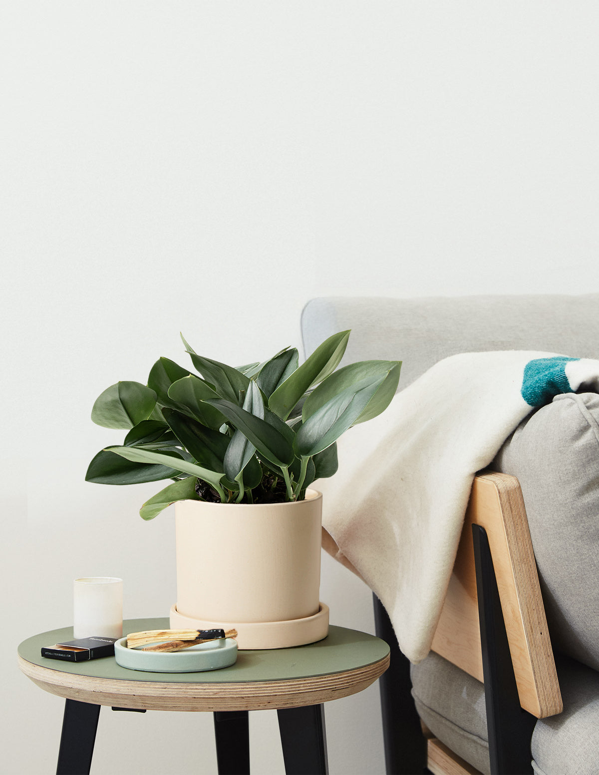 Pothos Sterling Silver