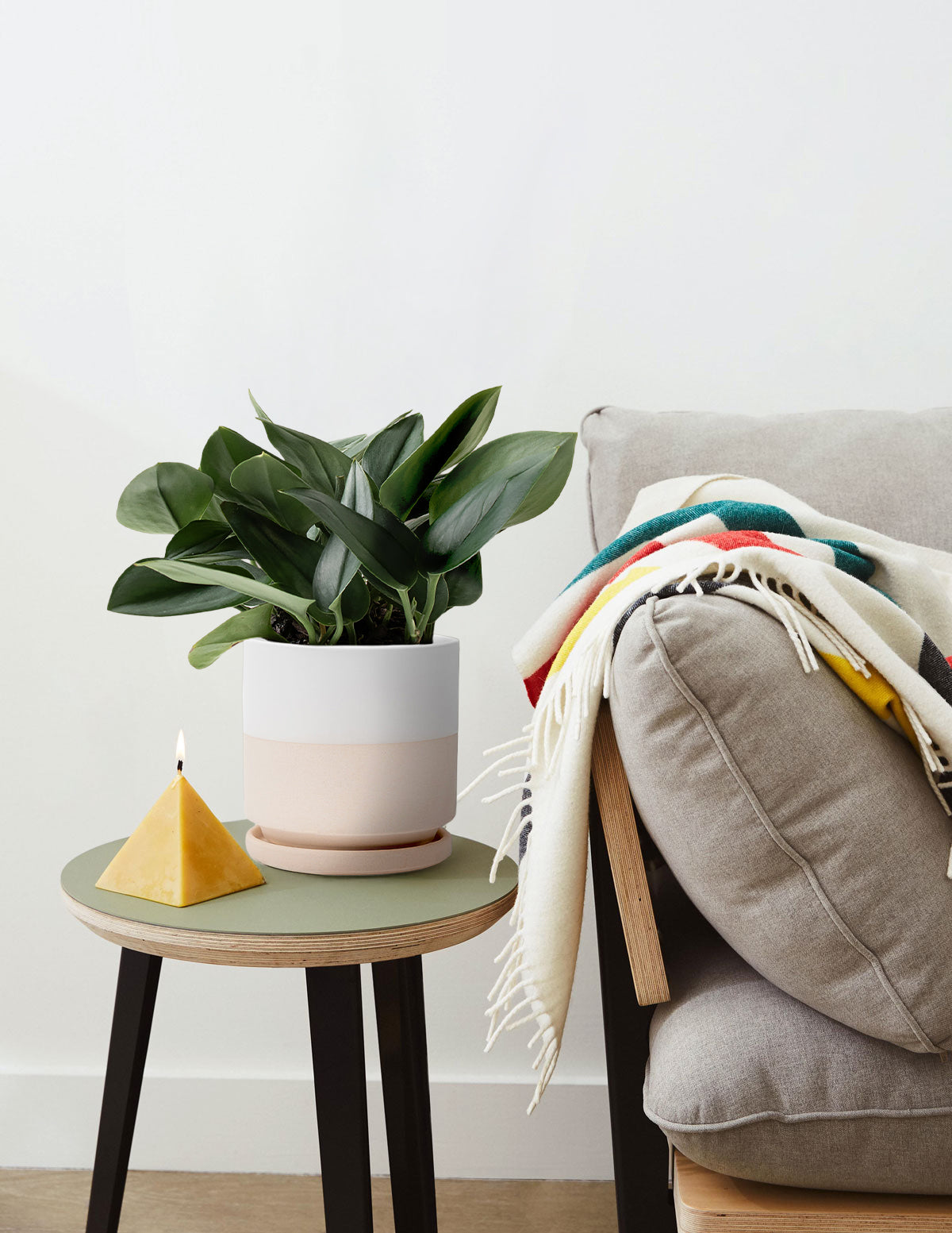 Pothos Sterling Silver