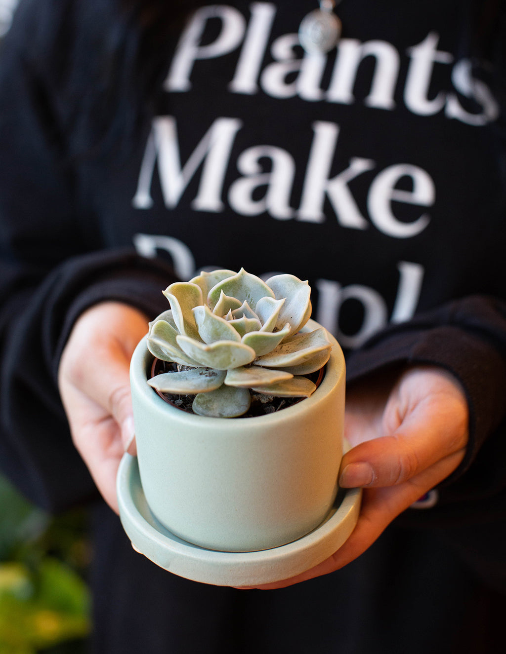 Succulent Squad Party Pack
