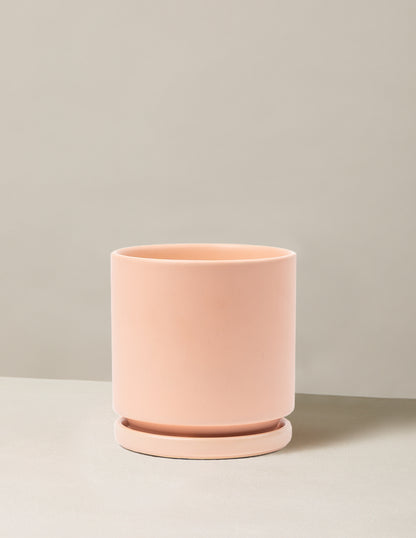Isabella Planter