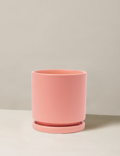 Isabella Planter