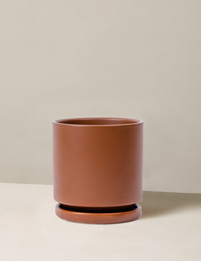 Isabella Planter