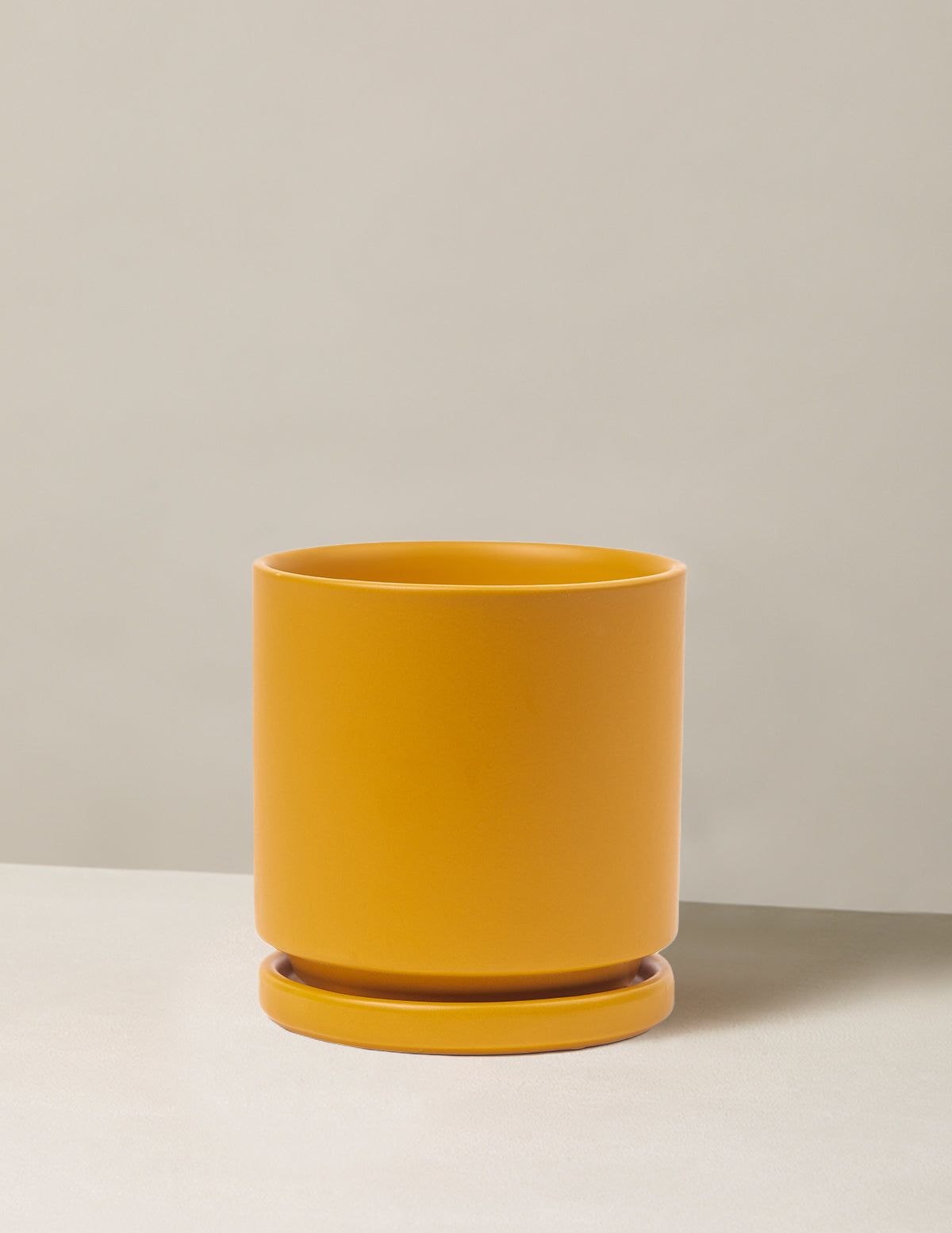 Isabella Planter