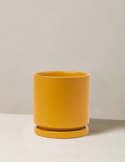 Isabella Planter