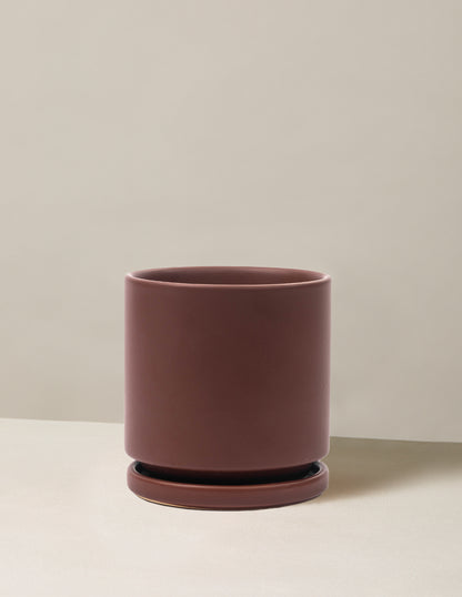 Isabella Planter
