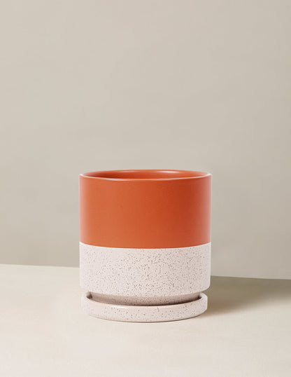 bundle | 4 in. | Rust White Sesame