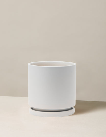 Isabella Planter