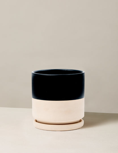 Isabella Planter