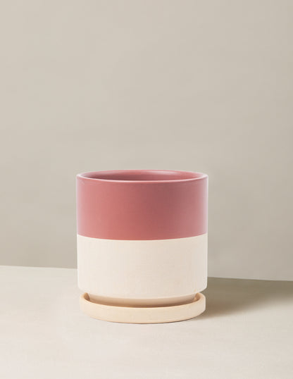 Isabella Planter