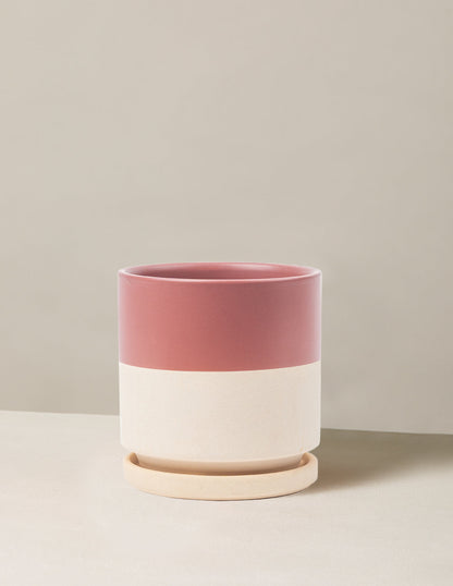 bundle | 6 in. | Top Half Dusty Rose