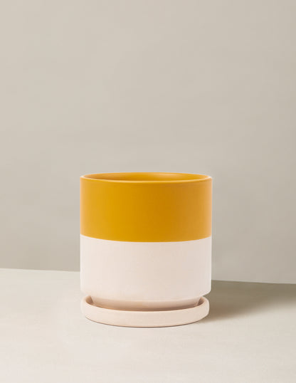 Isabella Planter