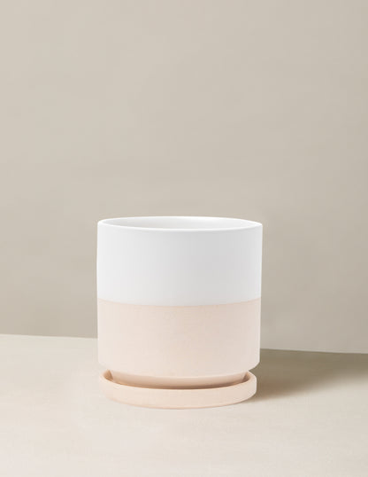 Isabella Planter