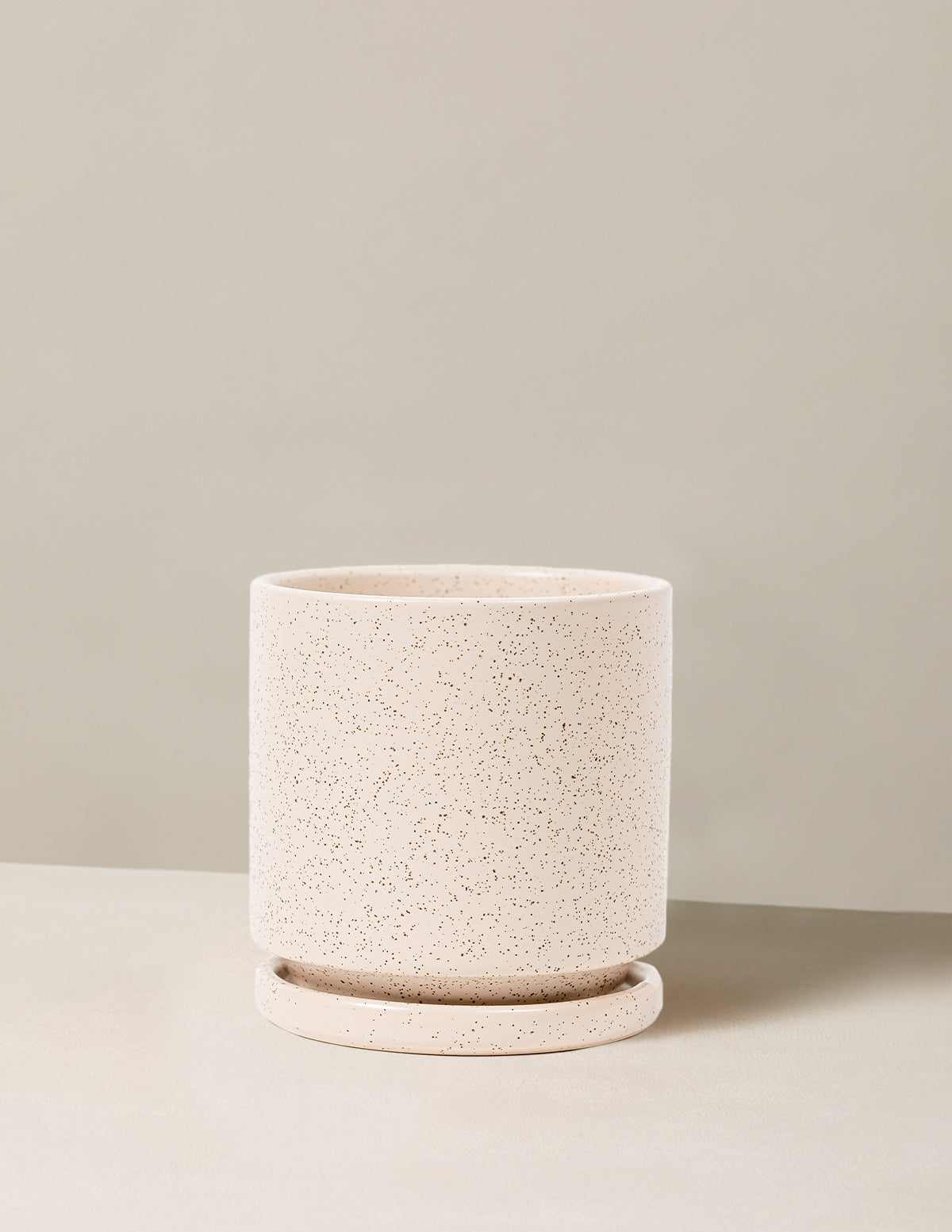 bundle | 4 in. | White Sesame