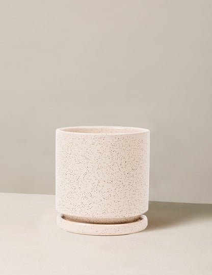 bundle | 4 in. | White Sesame