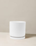 bundle | White