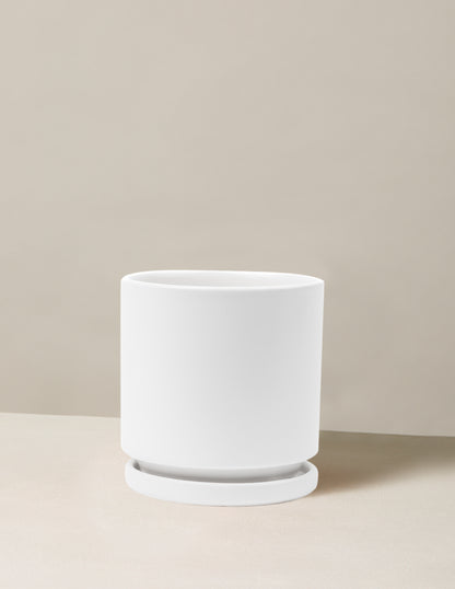 Isabella Planter
