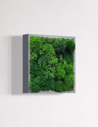 Small Preserved Living Wall