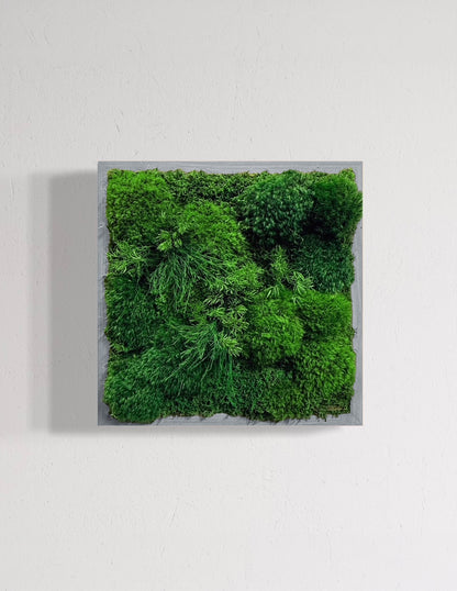 Small Preserved Living Wall