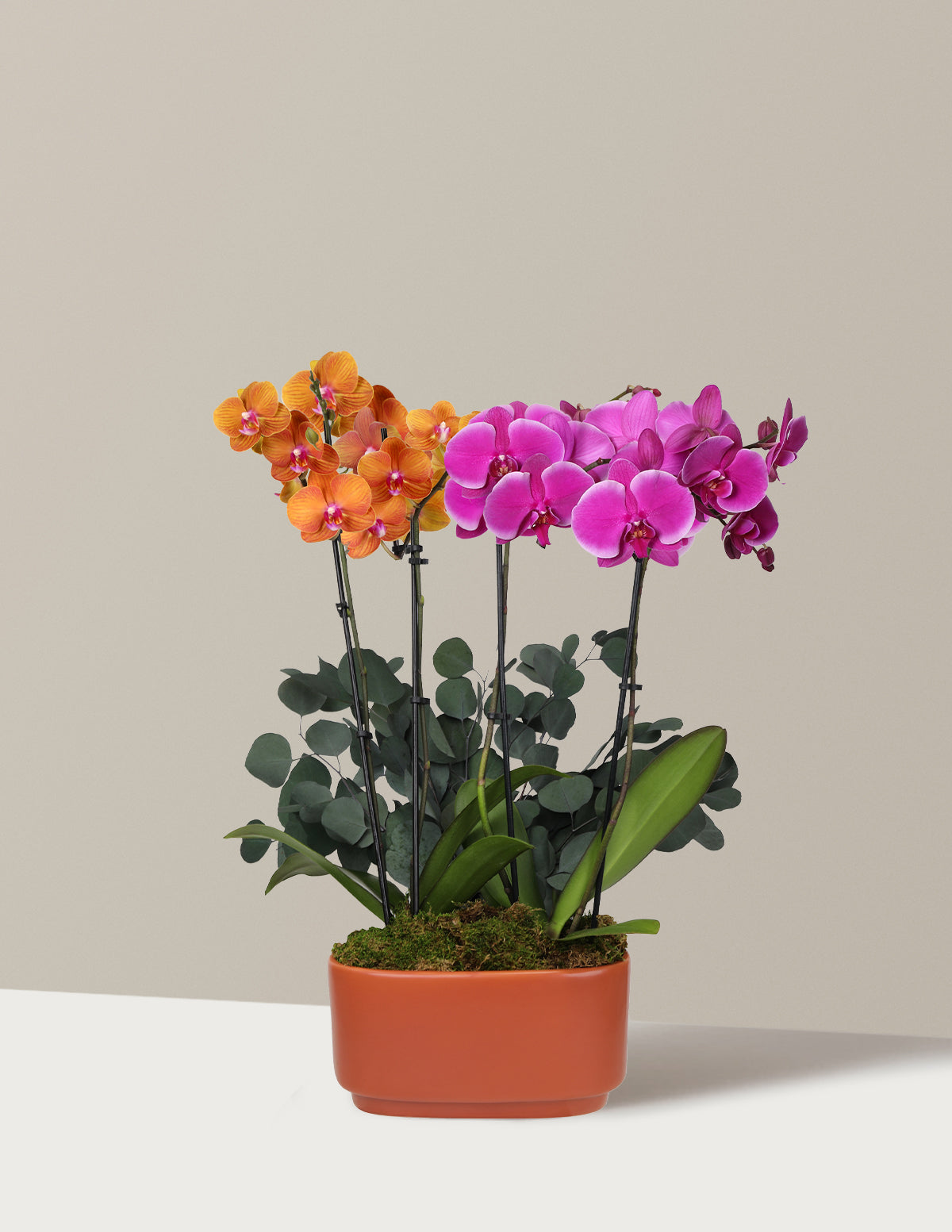 bundle | Double with Green Eucalyptus | Burnt Orange