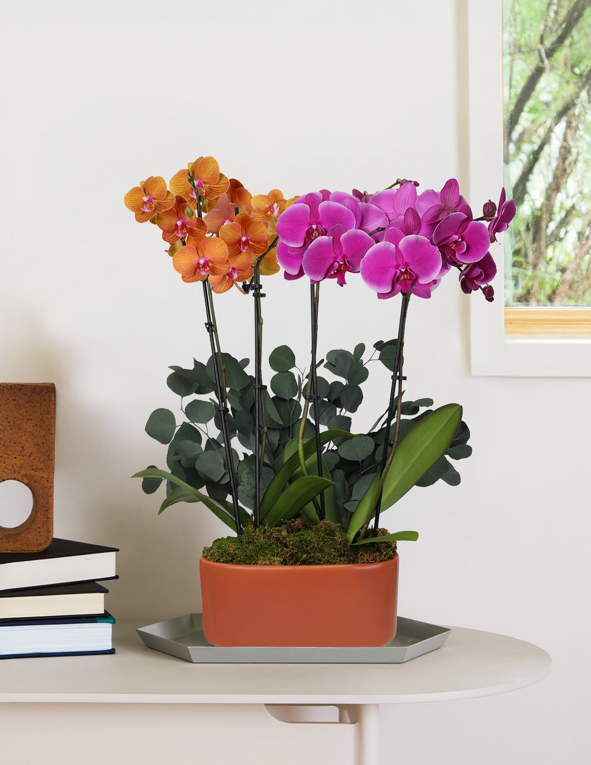 Large Double Bi-Color Orchid