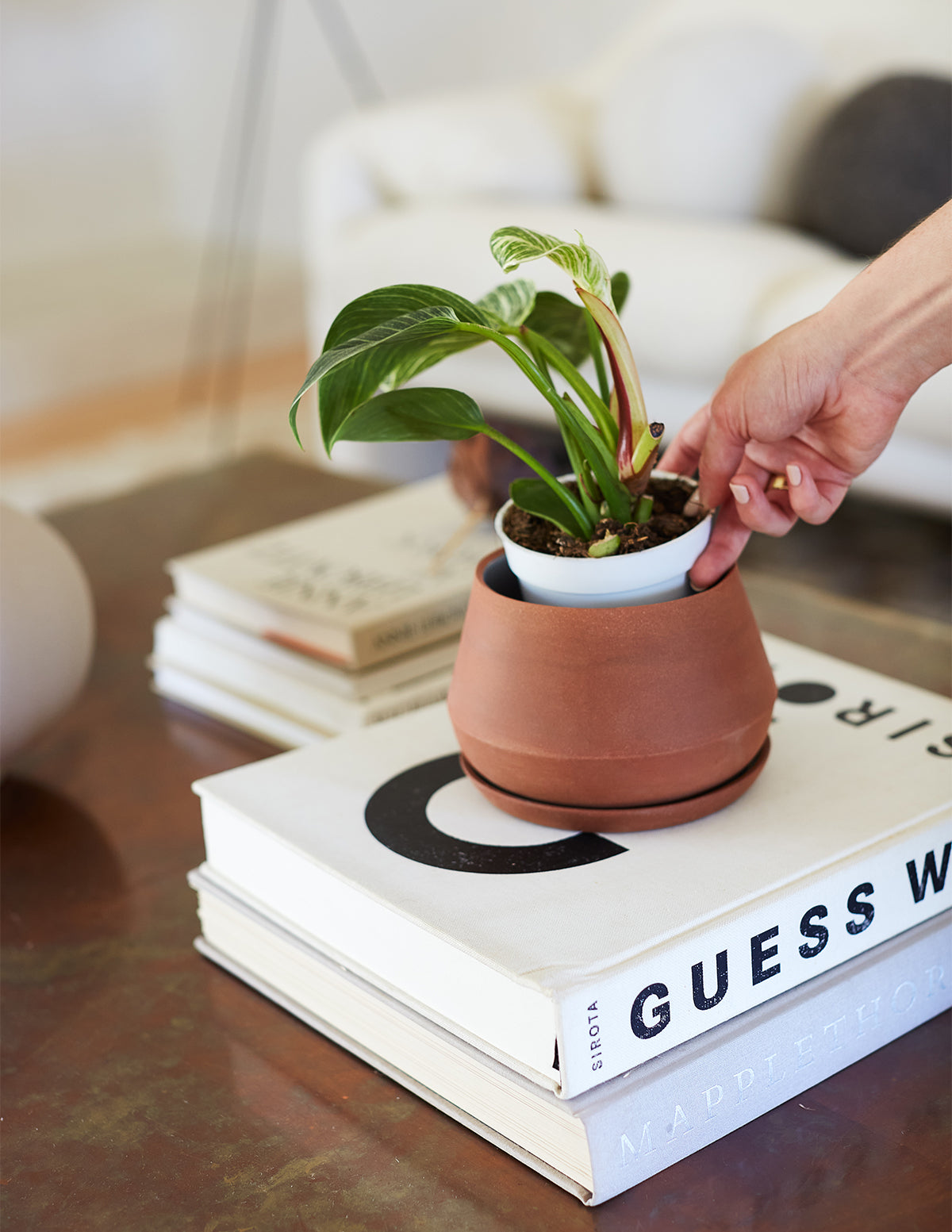 The Rancho Planter