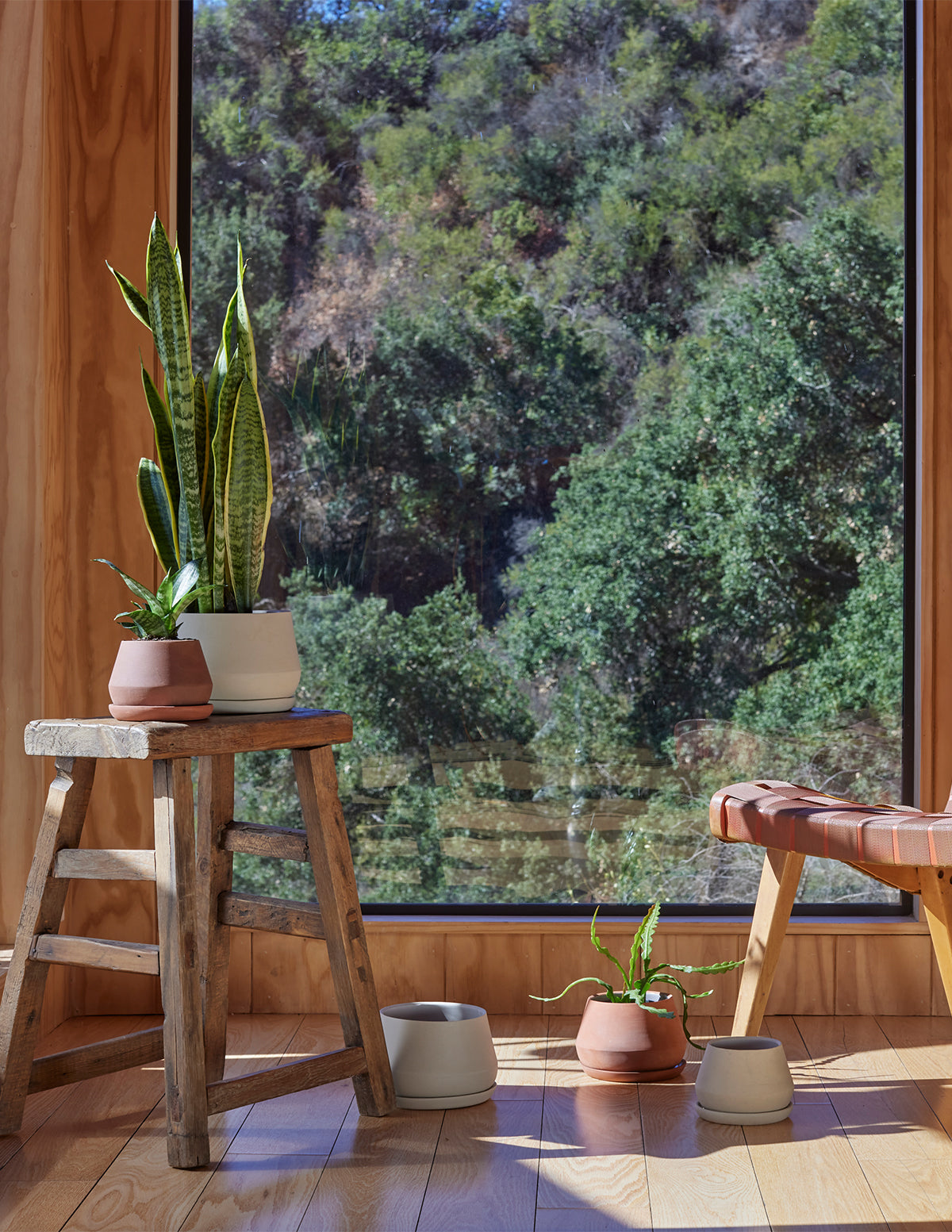 planter's house reservations The Rancho Planter | Plants and Planters for Delivery