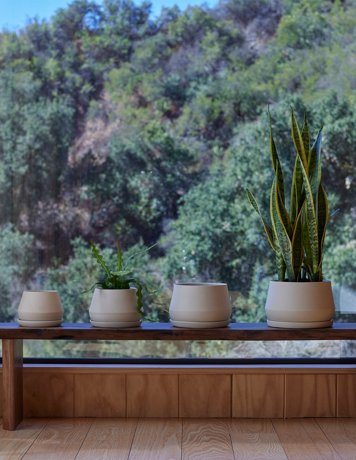 planter's house reservations The Rancho Planter | Plants and Planters for Delivery