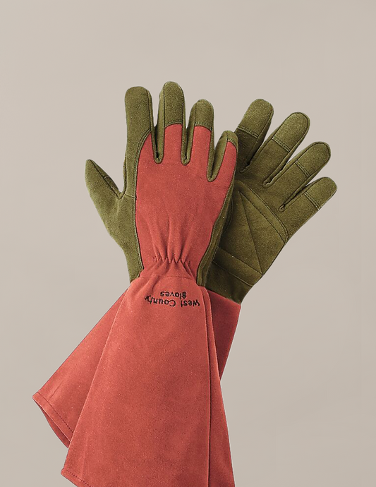 Rose Garden Gloves