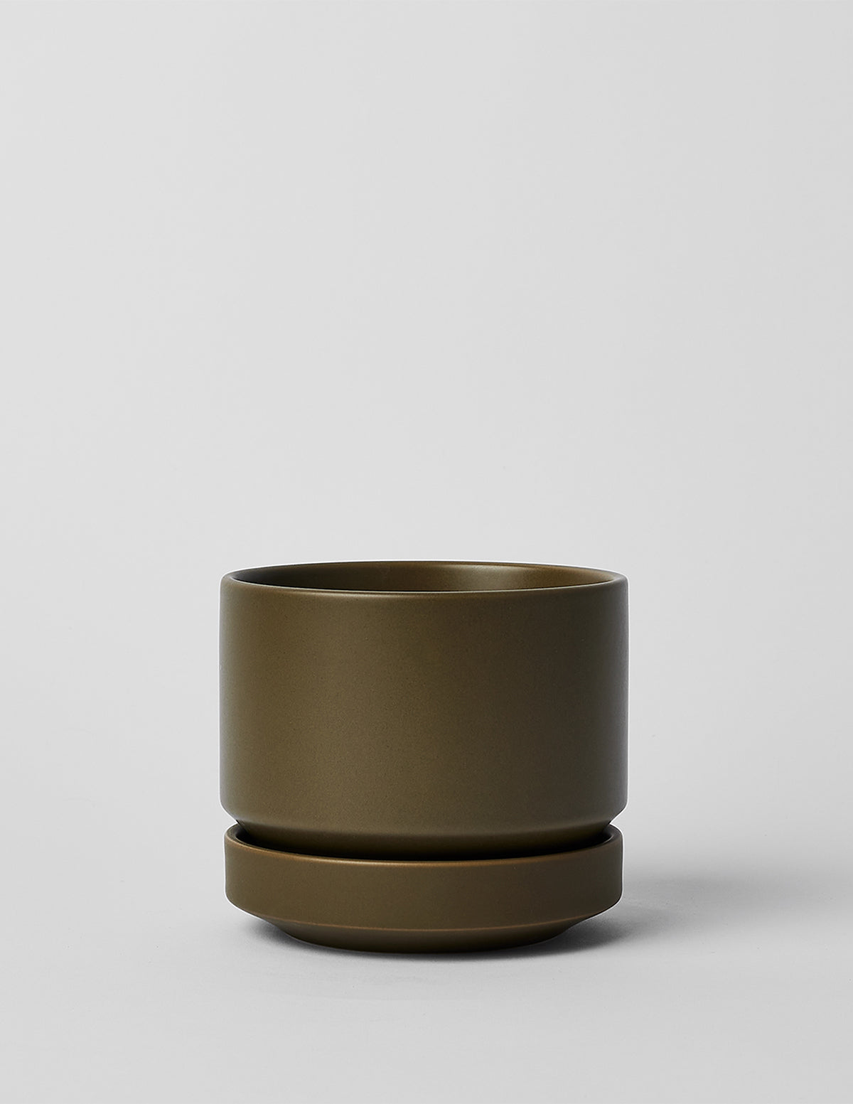 bundle | 6-inch | Olive