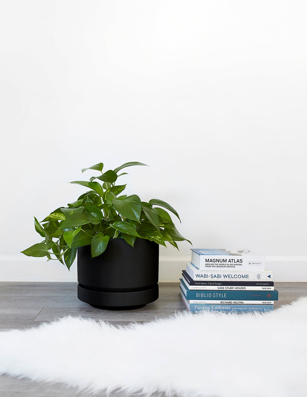 Round Two Planter