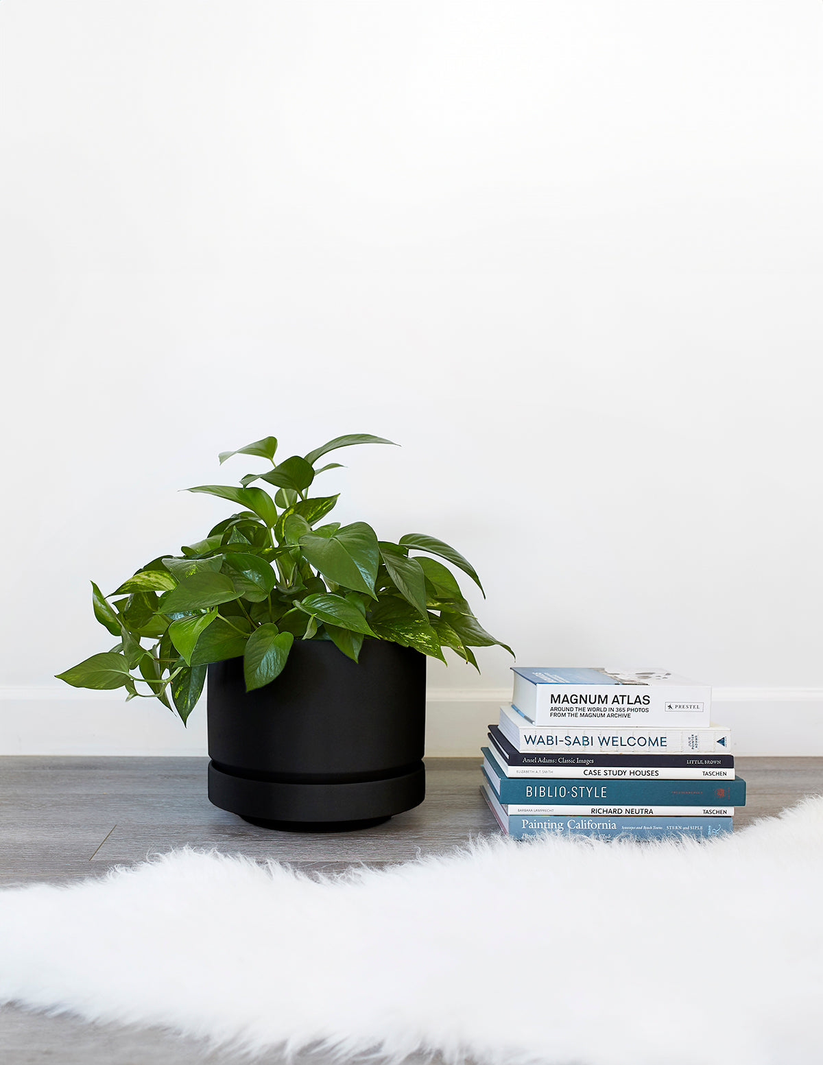 Round Two Planter