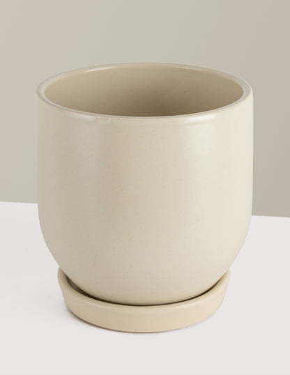 Westcott Ceramic Planter