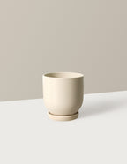 bundle | Small | Cream