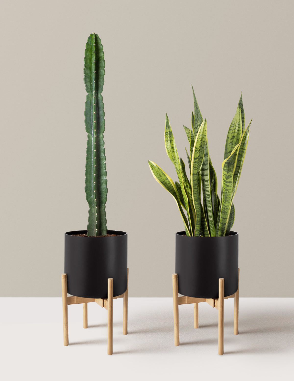 Large Set & Forget Duo