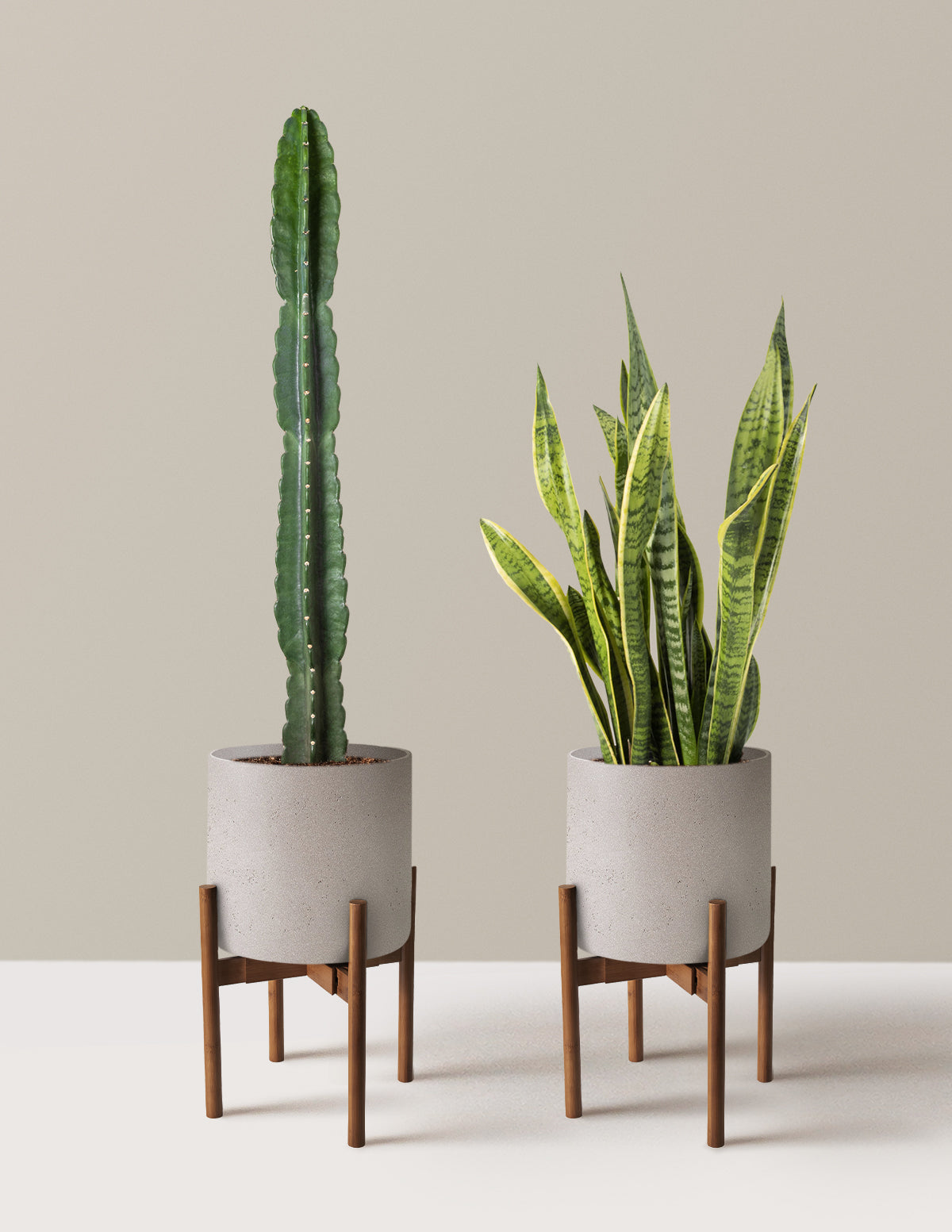 Large Set & Forget Duo