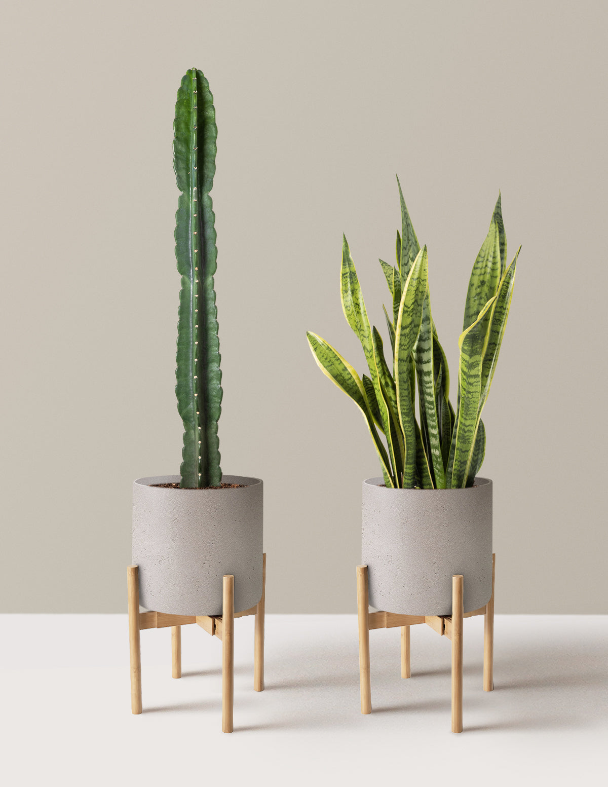 Large Set & Forget Duo