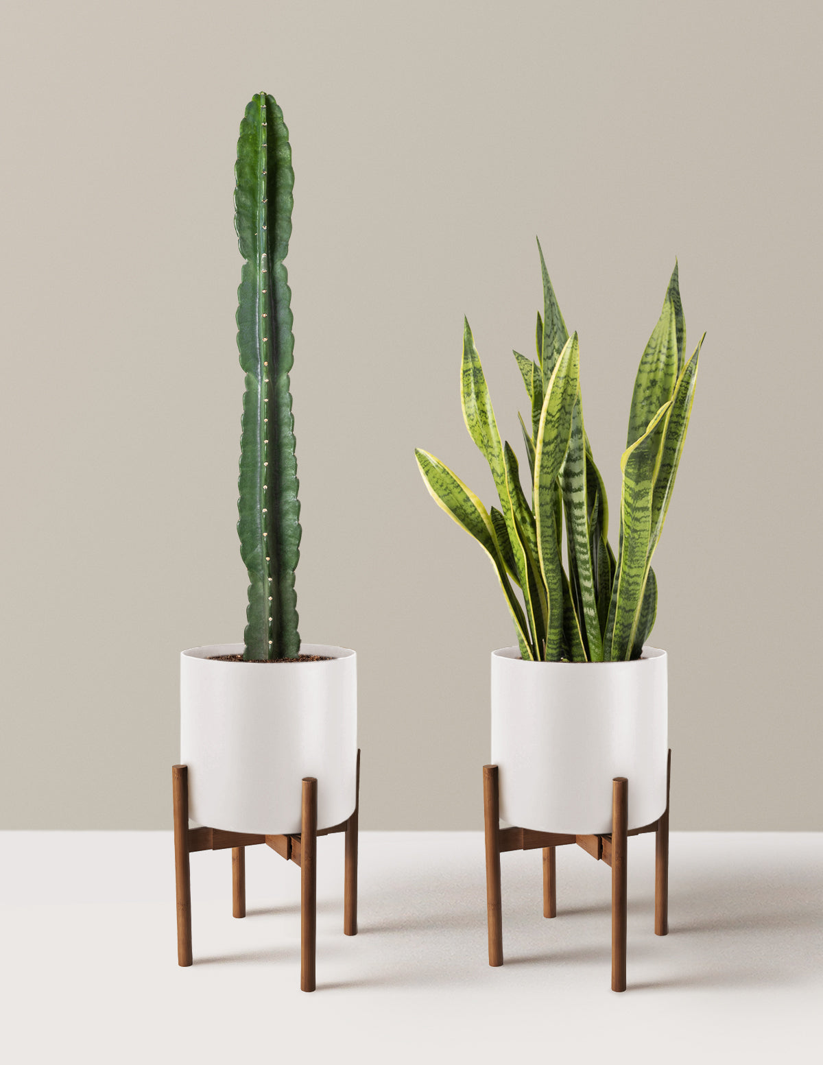 Large Set & Forget Duo