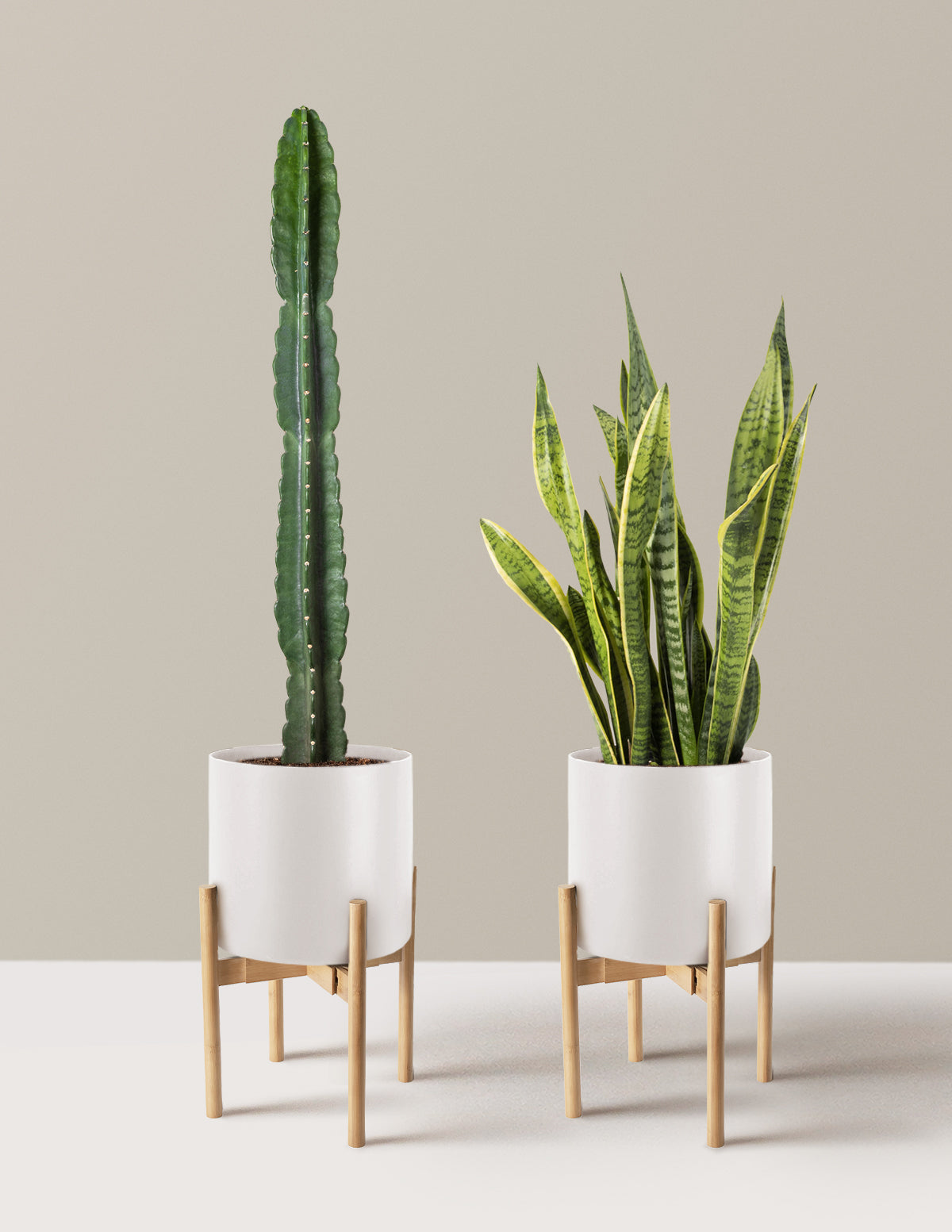 Large Set & Forget Duo