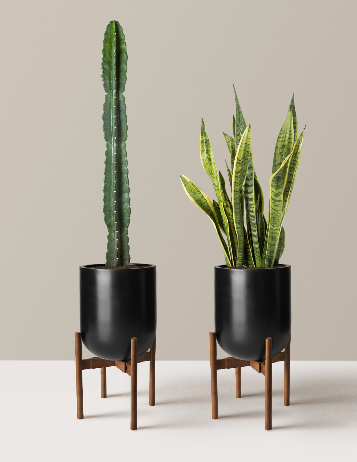 Large Set & Forget Duo