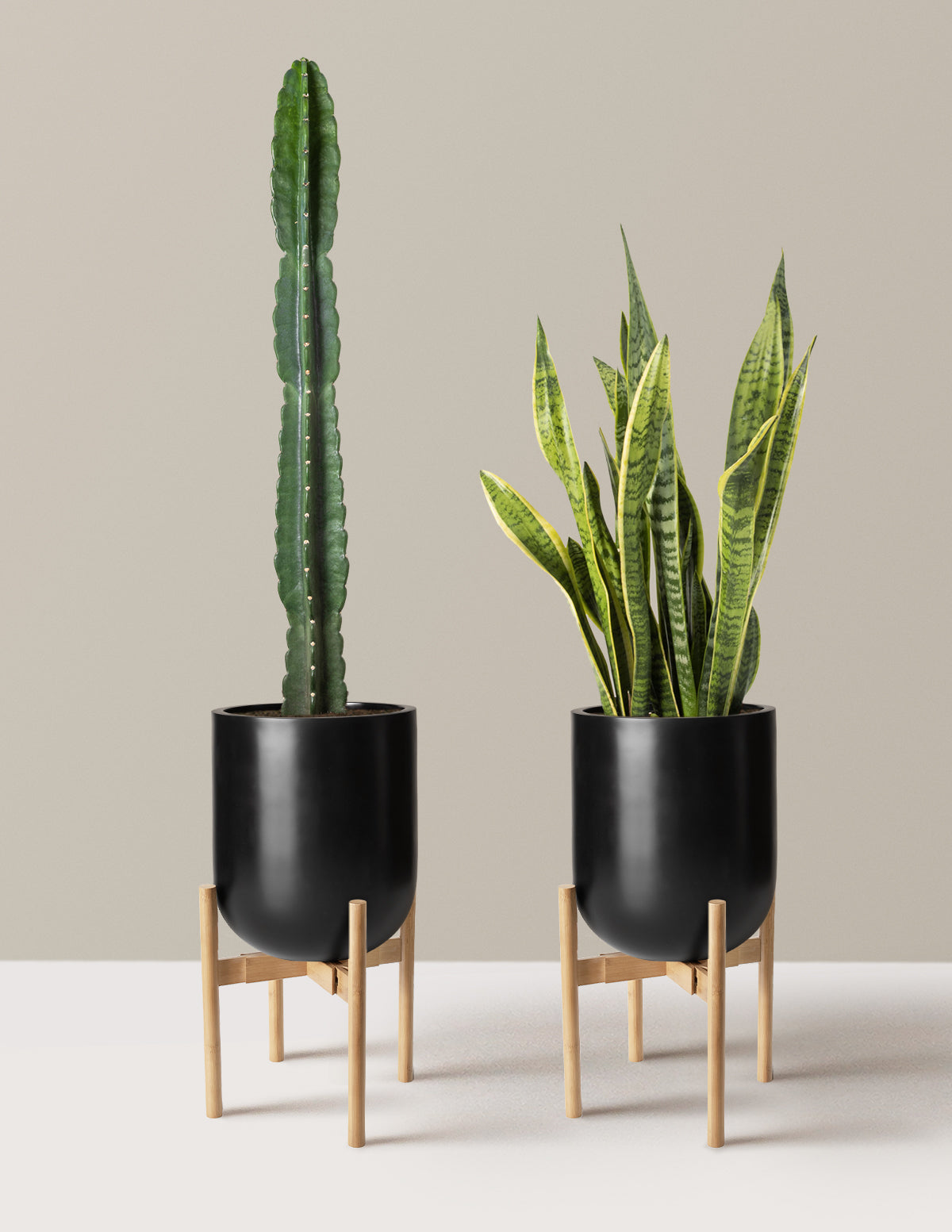 Large Set & Forget Duo