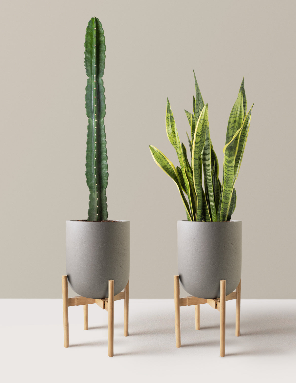 Large Set & Forget Duo