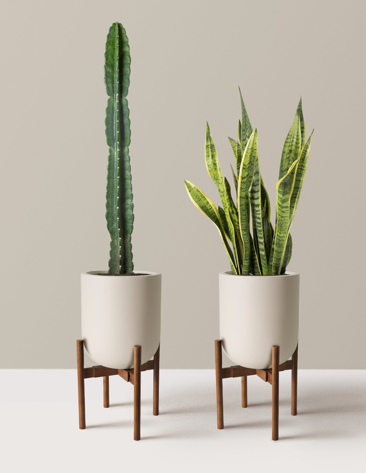 Large Set & Forget Duo