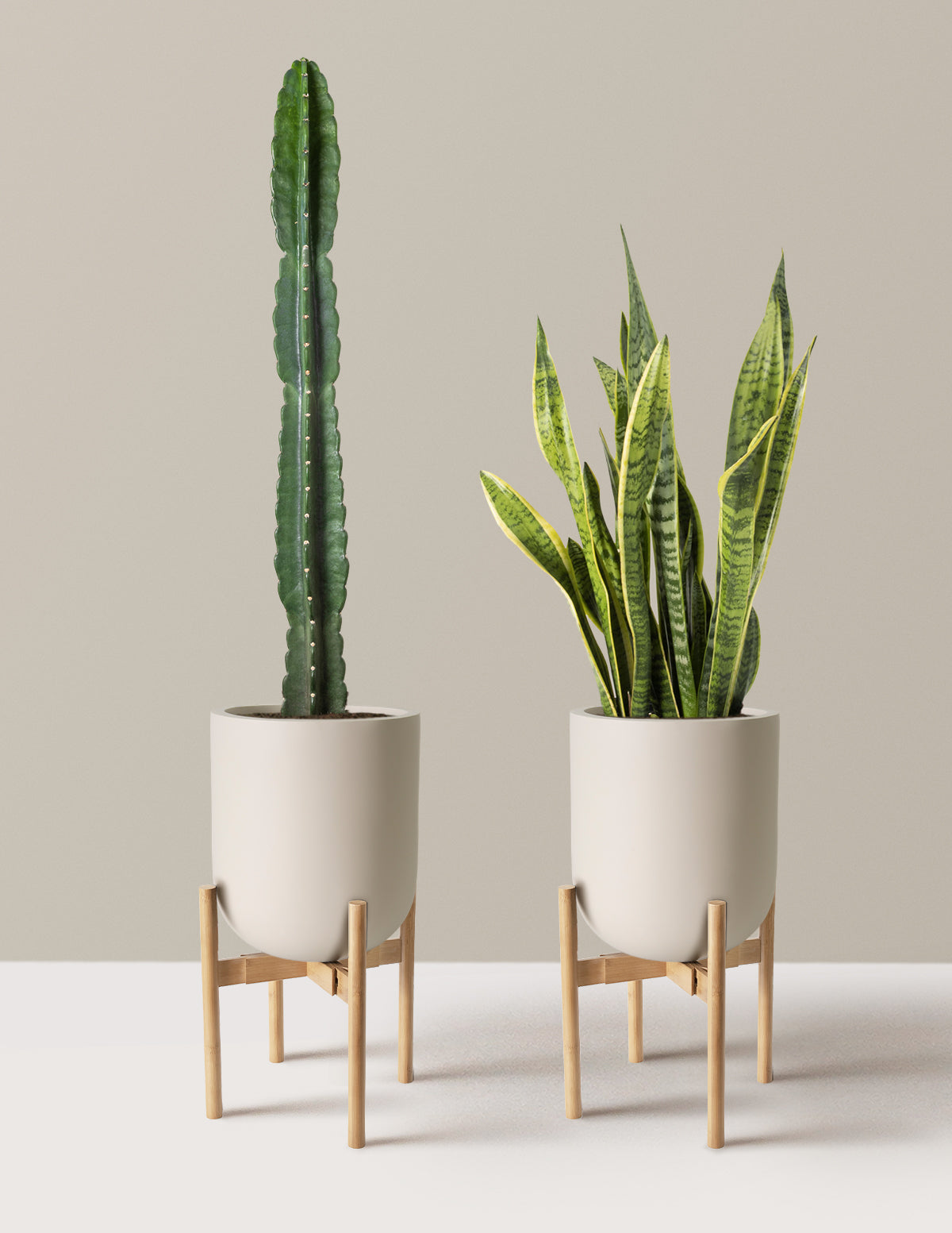 Large Set & Forget Duo