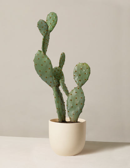 Faux Cactus