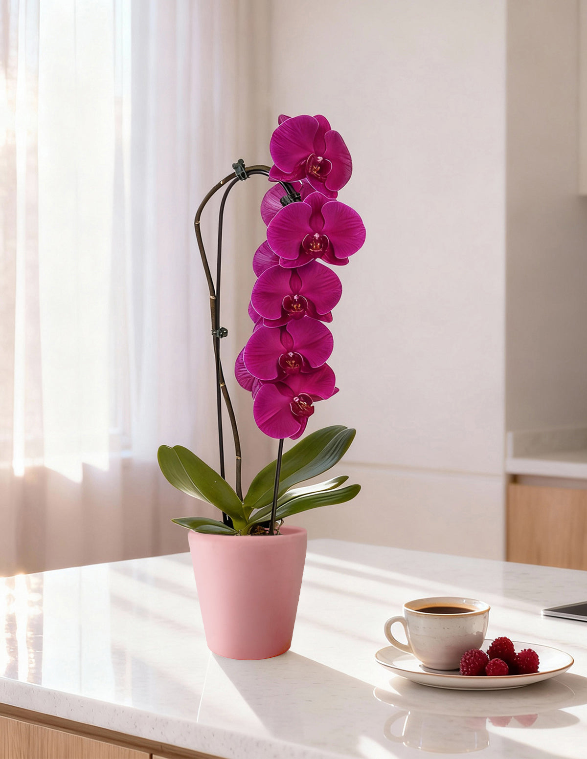 faux orchid plants Waterfall Orchid Houseplant with Planter - Purple White Planter
