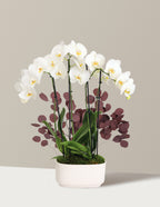 bundle | Small | Double | White
