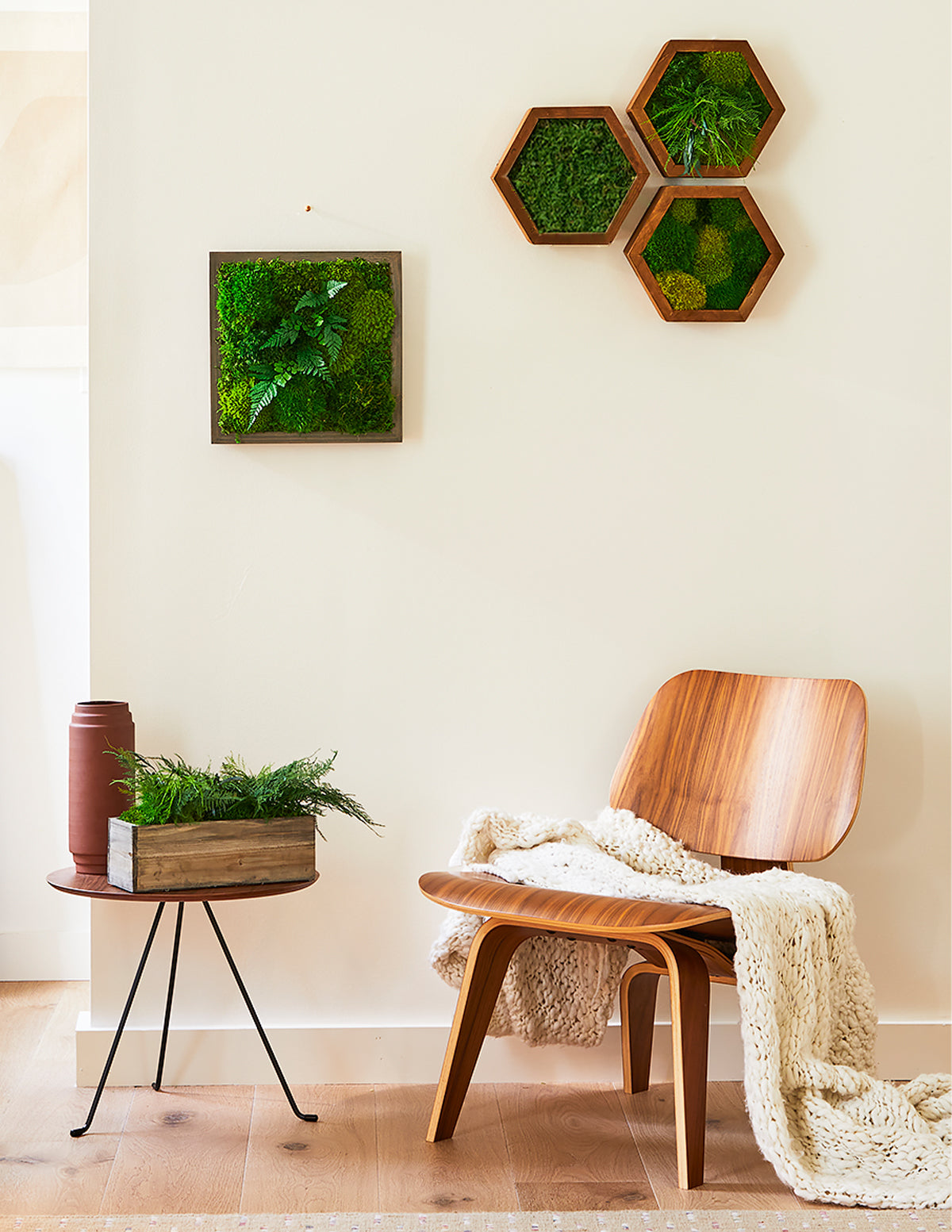 moss walls indoor including succulents Small Preserved Living Wall | Moss Wall Art | Free Delivery