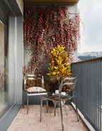 Boston Ivy